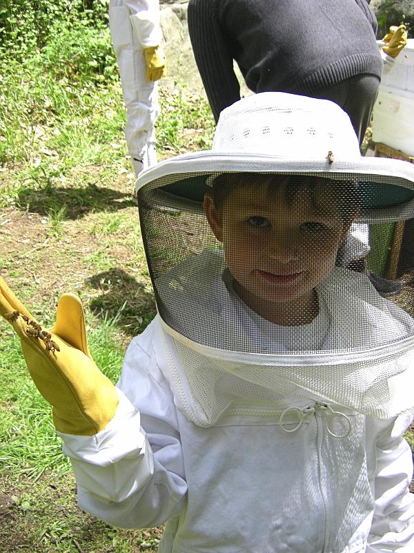 eli.JPG - Eli with friendly bees on his glove