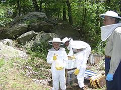 beekeeping4