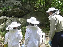 beekeeping5